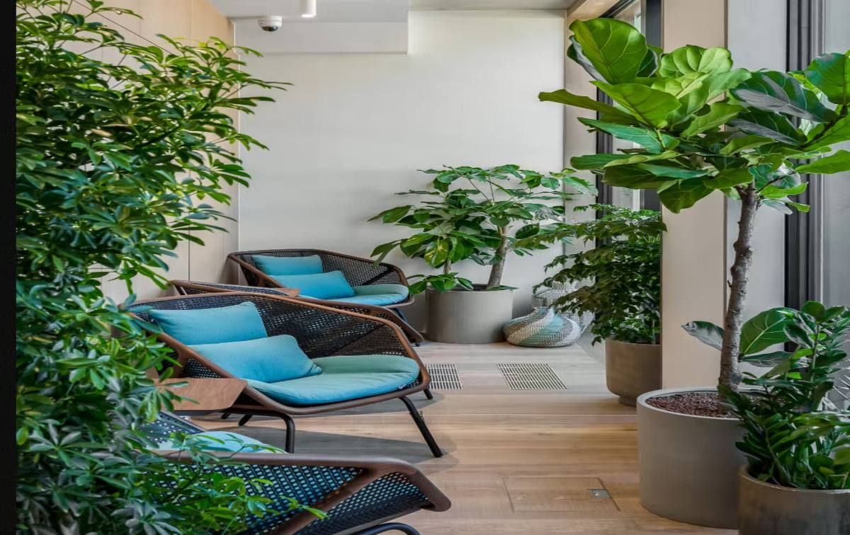 Fora - Fitzrovia 42 Berners Street